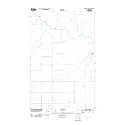 2011 Map of Abbott Lake, 2011 Print