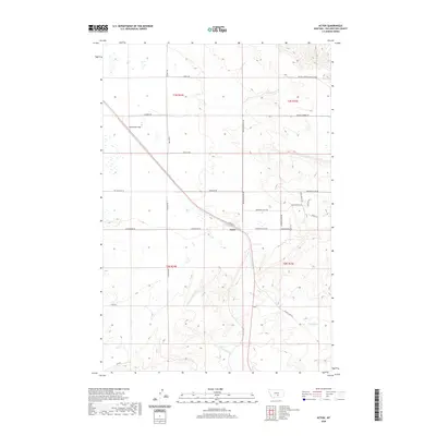 2020 Map of Acton, 2020 Print