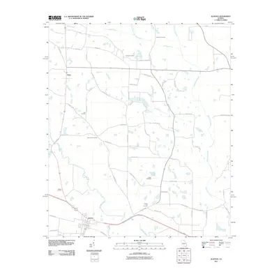 2011 Map of Alapaha, 2011 Print