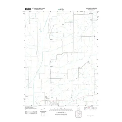2011 Map of Albany North, 2011 Print