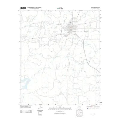 2012 Map of Albany, 2012 Print