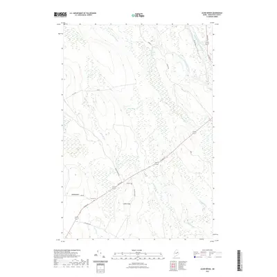 2021 Map of Alder Brook, 2021 Print