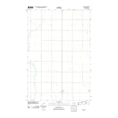 2011 Map of Alice, 2011 Print