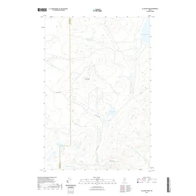 2021 Map of Allagash Pond, 2021 Print