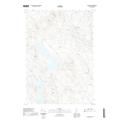 2021 Map of Alligator Lake, 2021 Print