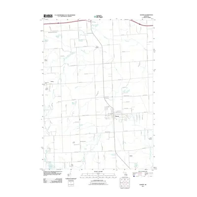2011 Map of Almont, 2011 Print