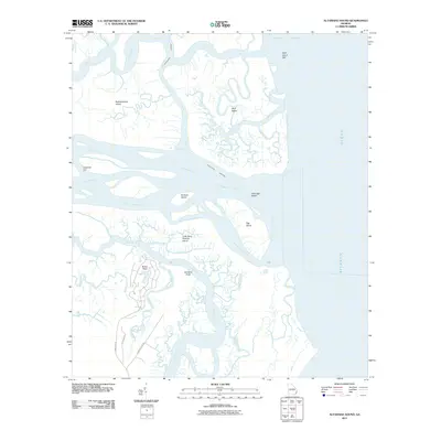 2011 Map of Altamaha Sound, 2011 Print
