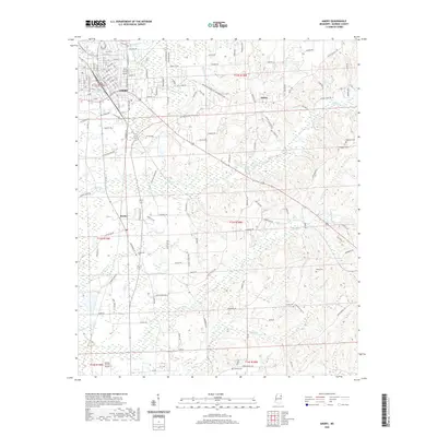 2020 Map of Amory, 2020 Print