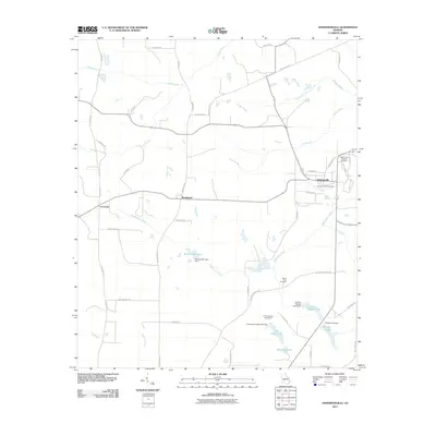 2011 Map of Andersonville, 2011 Print