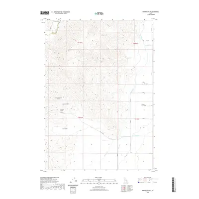 2020 Map of Appendicitis Hill, 2020 Print