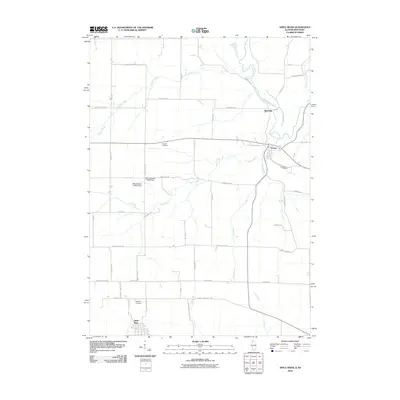 2010 Map of Apple River, 2010 Print