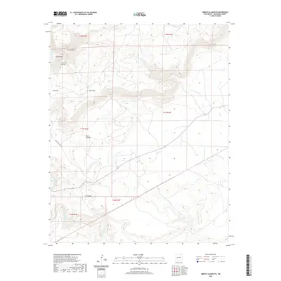 2020 Map of Arroyo Alamocito, 2020 Print