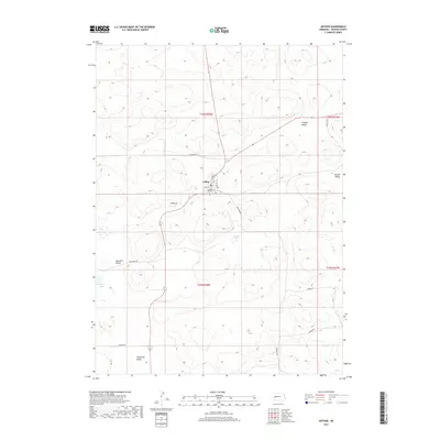 2017 Map of Arthur, 2017 Print