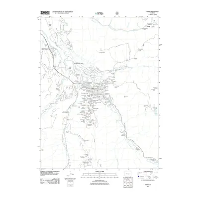 2011 Map of Aspen, 2011 Print