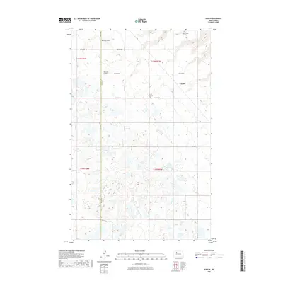 2020 Map of Aurelia, 2020 Print