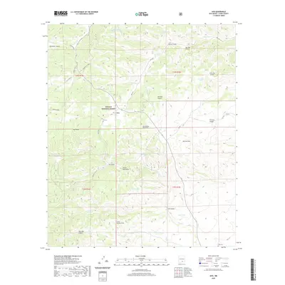 2020 Map of Avis, 2020 Print