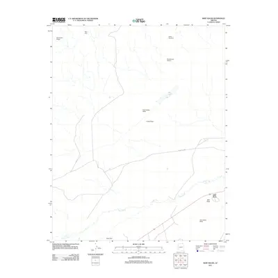 2011 Map of Baby Rocks, 2011 Print