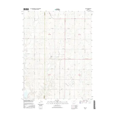 2015 Map of Bala, 2015 Print