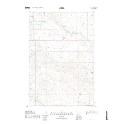 2020 Map of Bald Butte, 2020 Print