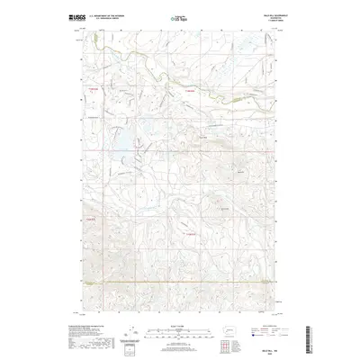 2020 Map of Bald Hill, 2020 Print