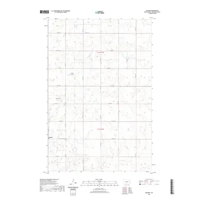 2020 Map of Baldwin, 2020 Print