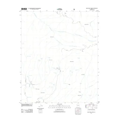 2011 Map of Baldy Bill Point, 2011 Print