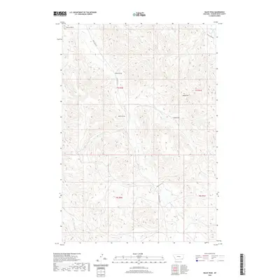 2020 Map of Baldy Peak, 2020 Print