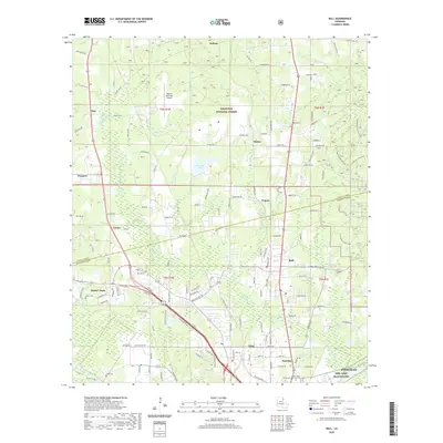 2020 Map of Ball, 2020 Print
