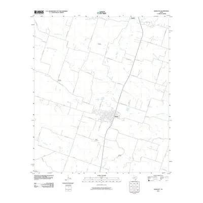 2010 Map of Bartlett, 2010 Print