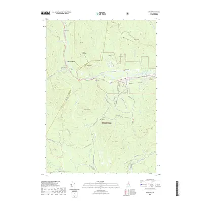 2021 Map of Bartlett, 2021 Print