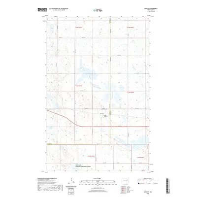 2020 Map of Bartlett, 2020 Print