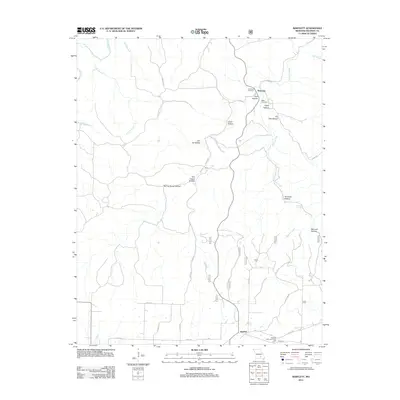 2011 Map of Bartlett, 2011 Print