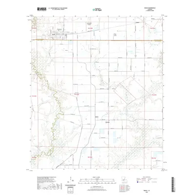 2020 Map of Basile, 2020 Print