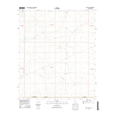 2013 Map of Bassett Lake, 2013 Print