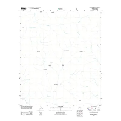2011 Map of Bassett Peak, 2011 Print