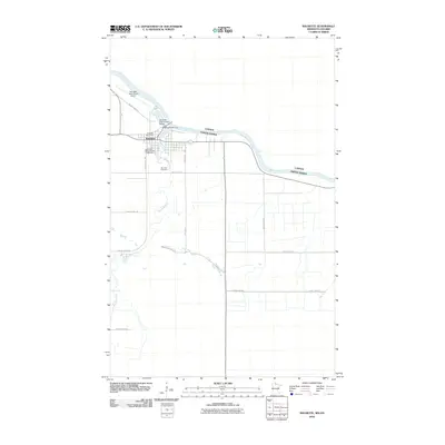 2010 Map of Baudette, 2010 Print