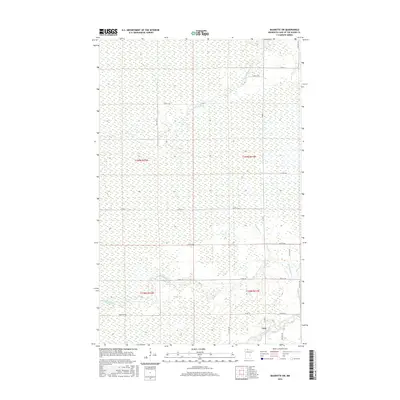 2016 Map of Baudette SW, 2016 Print
