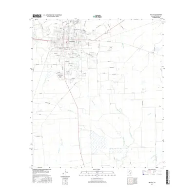 2016 Map of Bay City, 2016 Print