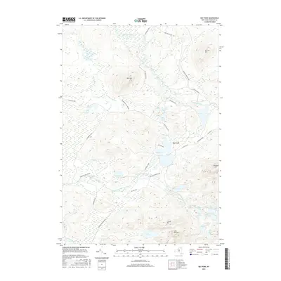 2016 Map of Bay Pond, 2016 Print