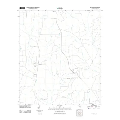 2012 Map of Bay Springs, 2012 Print