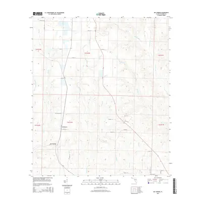 2015 Map of Bay Springs, 2015 Print