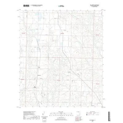 2018 Map of Bay Springs, 2018 Print