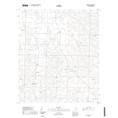 2021 Map of Bay Springs, 2021 Print