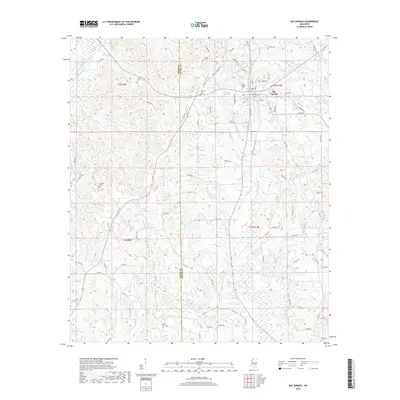 2018 Map of Bay Springs, 2018 Print