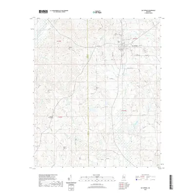 2020 Map of Bay Springs, 2020 Print