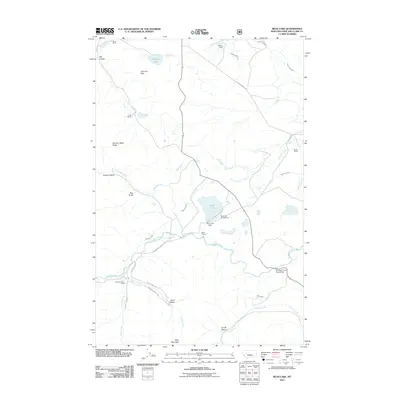 2011 Map of Bean Lake, 2011 Print