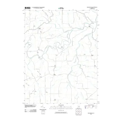 2010 Map of Bear Branch, 2010 Print