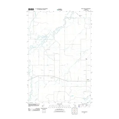 2011 Map of Bear Town, 2011 Print
