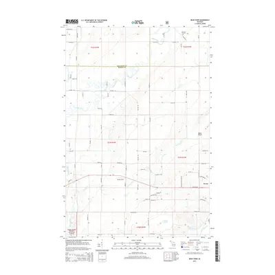 2014 Map of Bear Town, 2014 Print