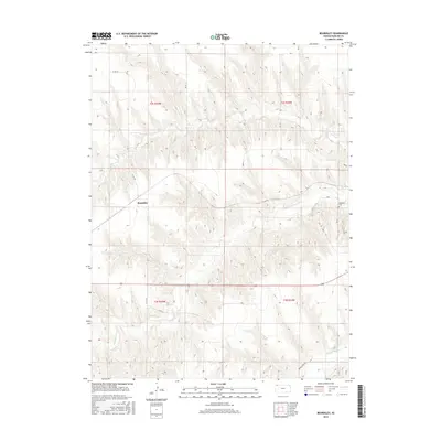 2015 Map of Beardsley, 2015 Print